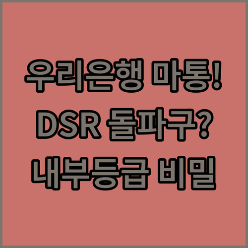 우리은행 마이너스통장 승인 조건 | DSR 규제와 내부 등급 관리