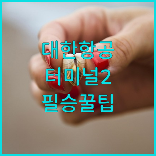 제2터미널 대한항공 체크인과 라운지 위치