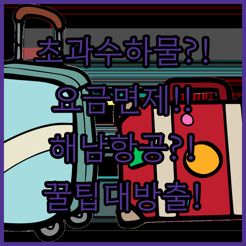 해남항공 초과 수하물 요금과 면제 기준 총정리