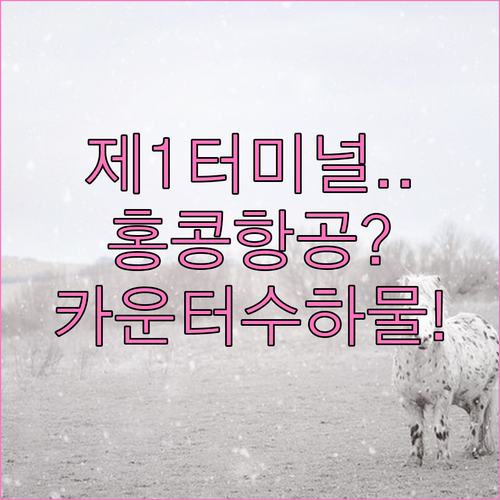 인천공항 홍콩항공 제1터미널 카운터 위치 및 수하물 정보