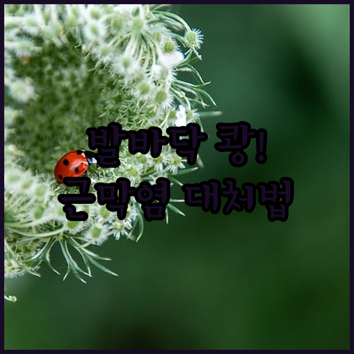 image 677cbc4b