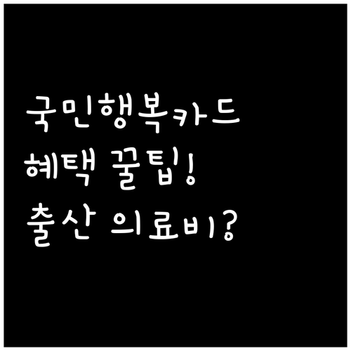 국민행복카드 바우처 혜택 | 출산 후 의료비 활용하기