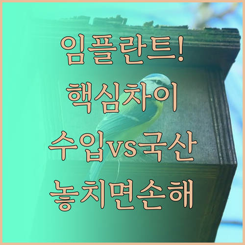 임플란트 종류 차이 완벽 정리 | 지대주, 표면 처리, 수입과 국산 비교