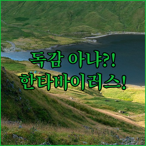 image ef9983dc