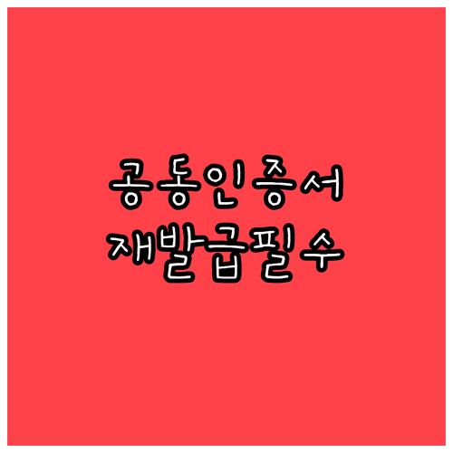 공동인증서 재발급 방법과 필요한 본인 확인 정보