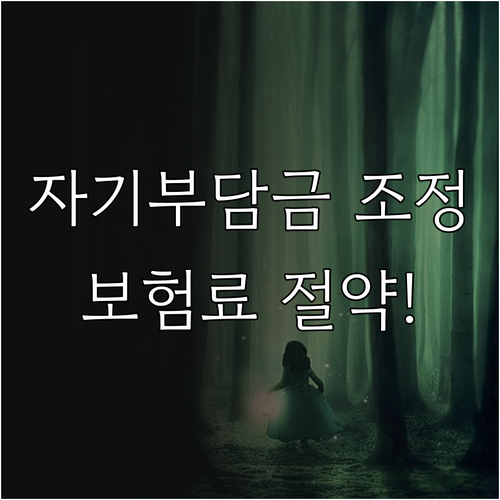 자동차보험 다이렉트 자기부담금 조정과 보험료 절약