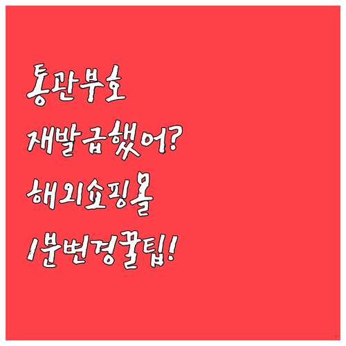 개인통관고유부호 재발급 후 해외 쇼핑몰 정보 변경 방법