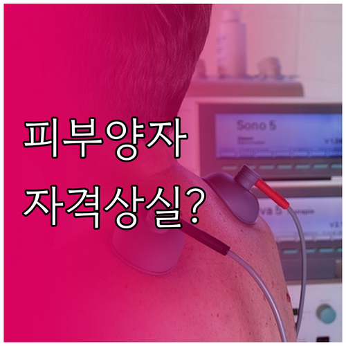 건강보험 피부양자 자격 상실일과 보험료 부과 기준 확인