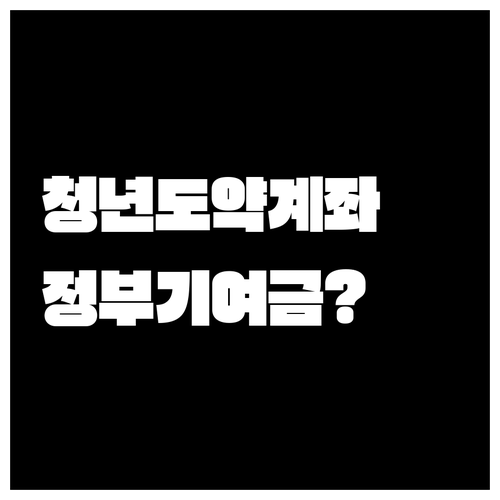 청년도약계좌 정부기여금 지급 여부와 비과세 혜택