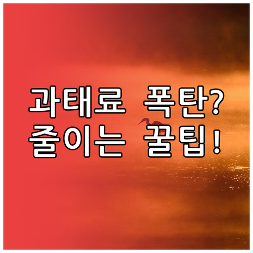 자동차검사 늦었을 때 과태료 줄이는 방법과 검사 예약