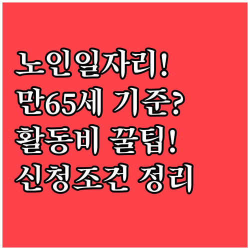노인일자리 신청조건과 활동비, 공공형 만 65세 기준