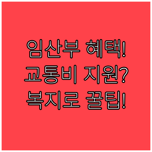 임산부 교통비 지원, 주민센터 방문과 복지로 온라인 신청