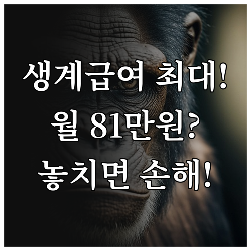2025년 생계급여 1인 가구 최대 월 815,180원