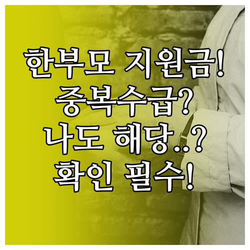 한부모가족 지원금 중복수급 여부 확인 방법과 주의 조합