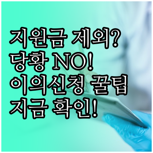 대만여행 지원금 지급 제외 시 이의 신청 방법