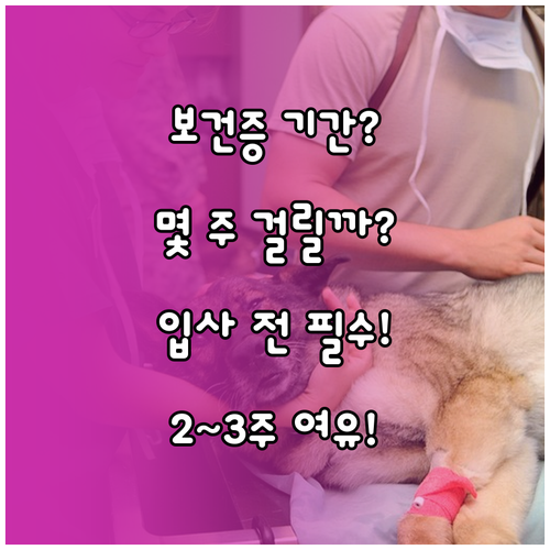 보건증 검사 결과 기간, 입사 전이면 2~3주 여유 두고 받으세요